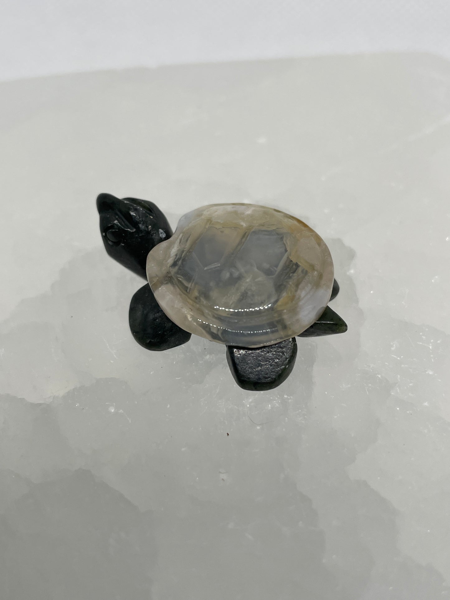 Flower Agate Turtle Mini
