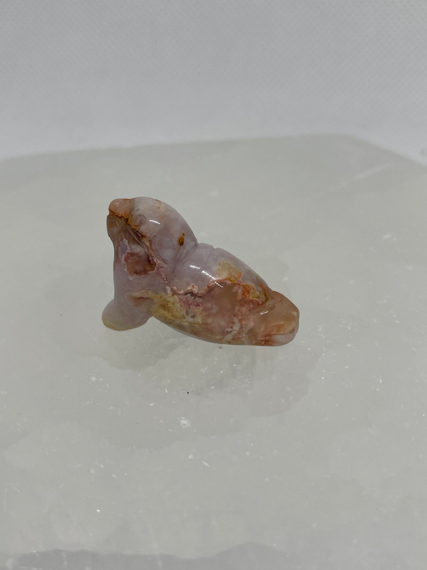 Flower Agate Sea Lion Mini
