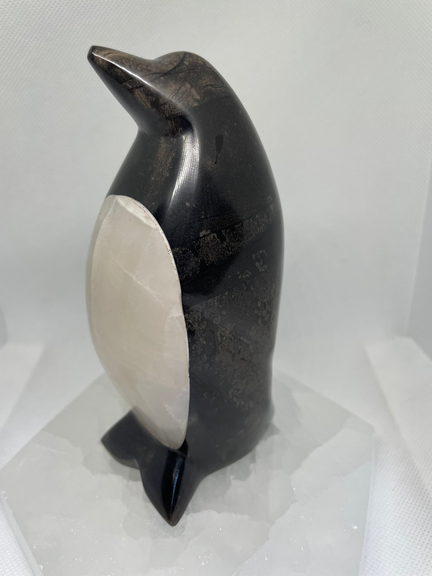 Black Onyx x Whit Onyx Penguine