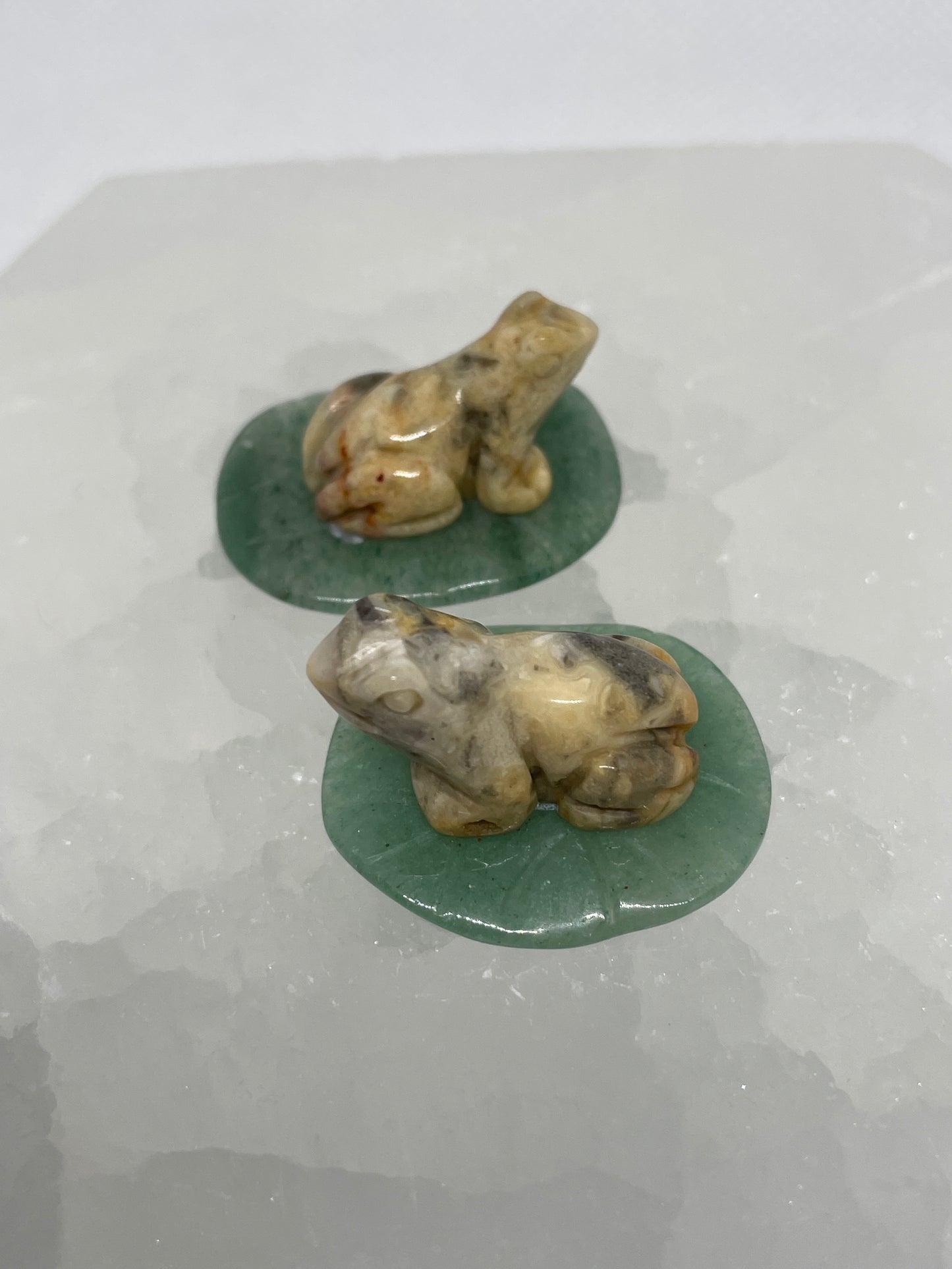 Crazy Lace Agate Frog on Leaf Mini