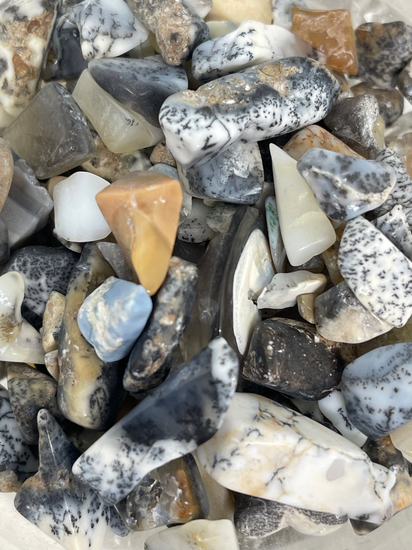 Dendritic Opal Chips