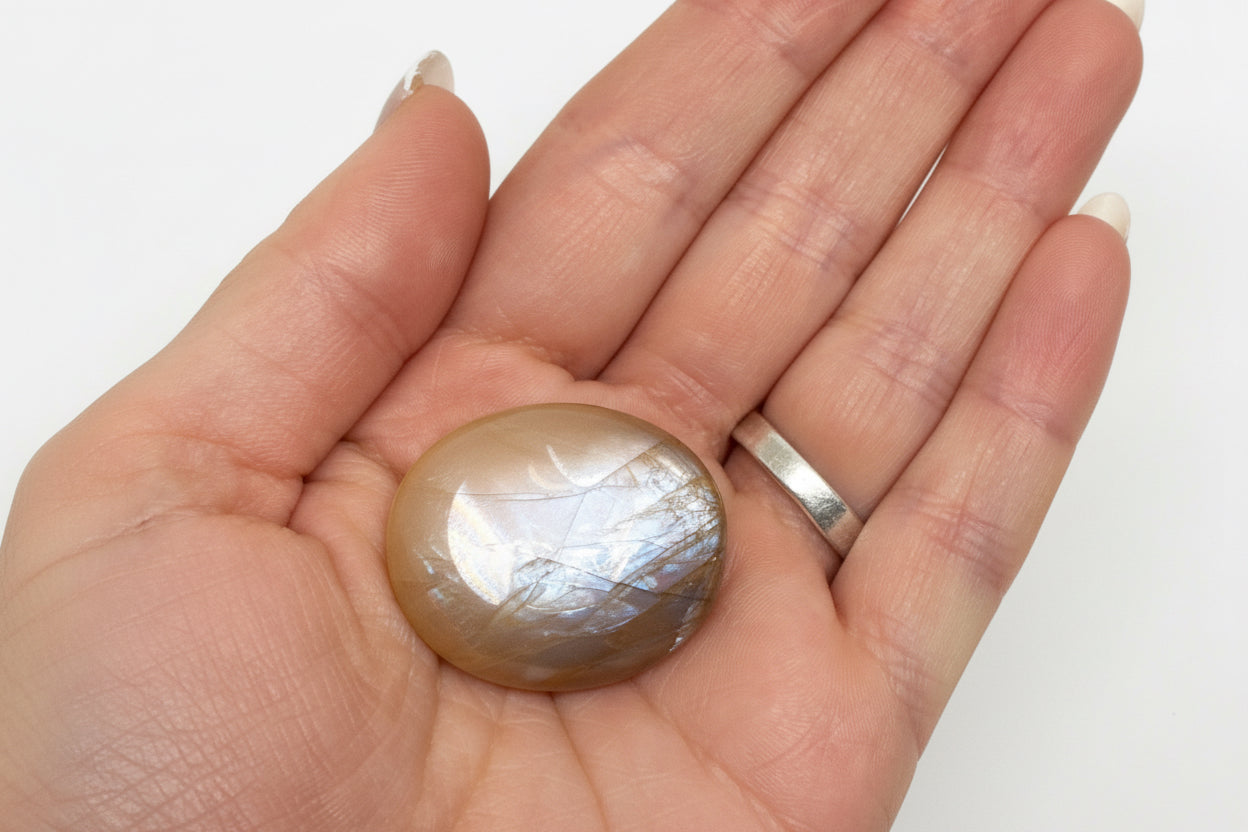 Moonstone Mini Palms