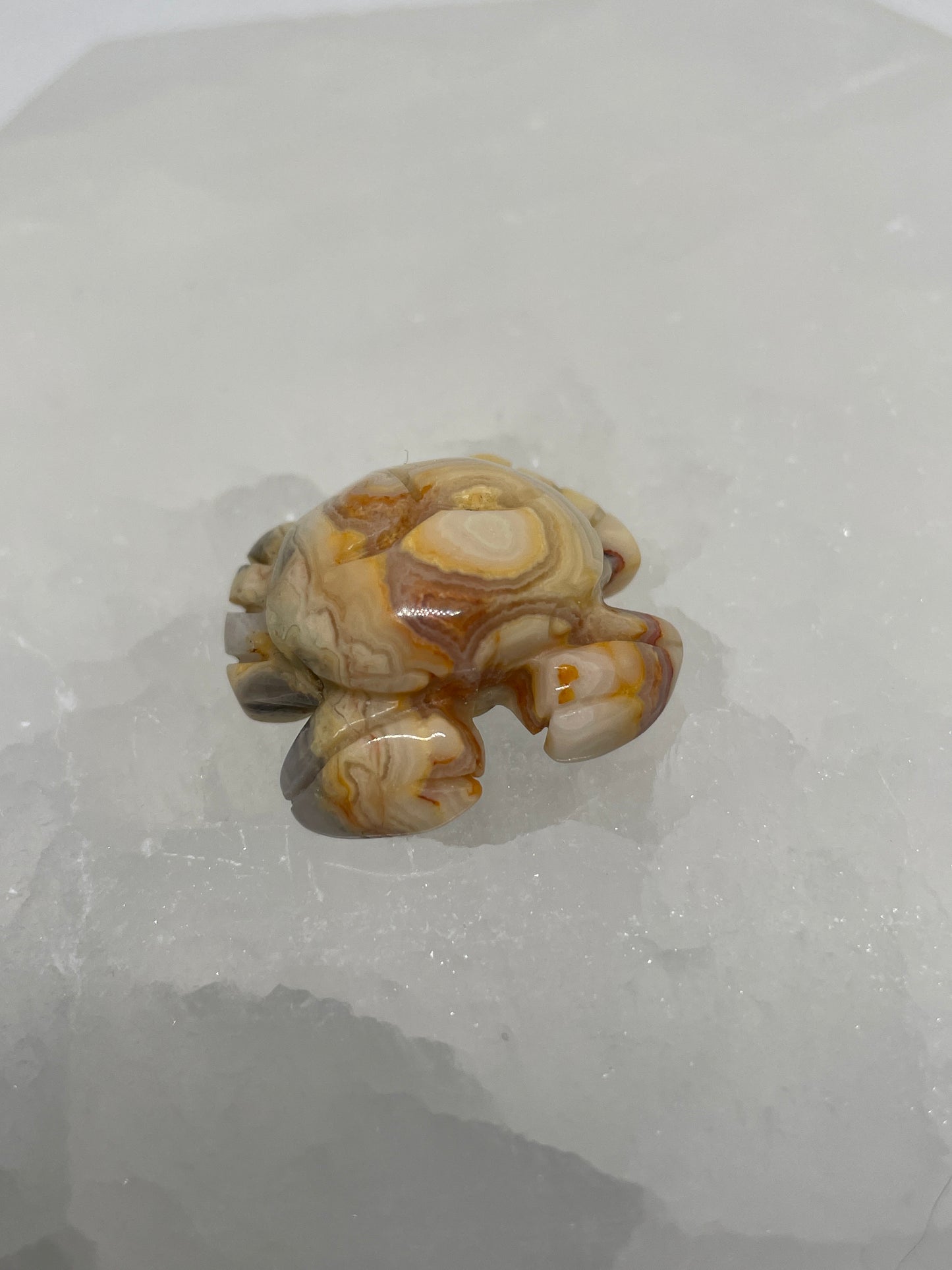 Crazy Lace Agate Crab Mini