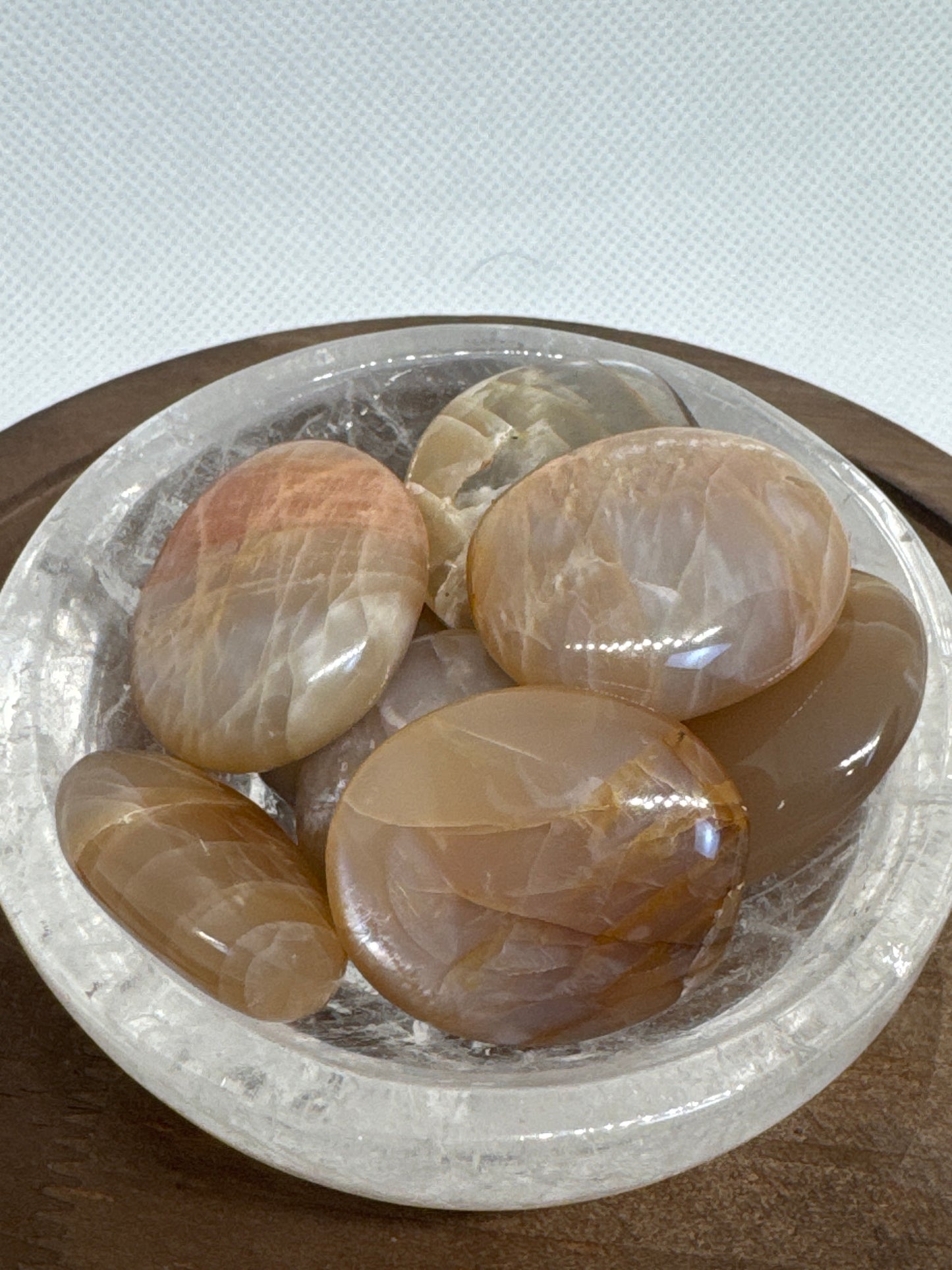 Moonstone Mini Palms