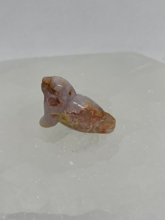 Flower Agate Sea Lion Mini