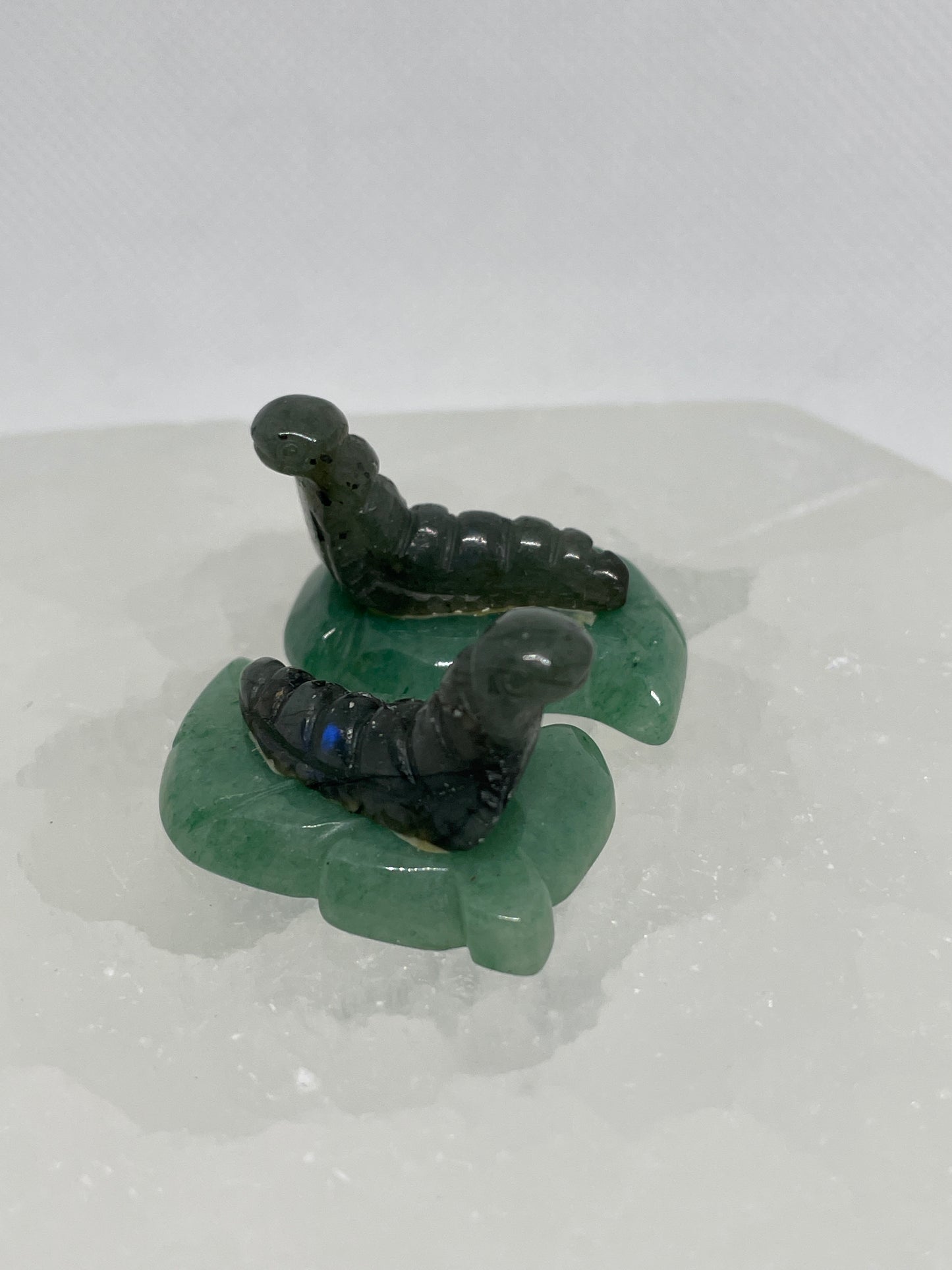 Labradorite Caterpillar on Leaf Mini