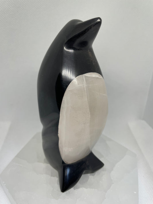 Black Onyx x Whit Onyx Penguine