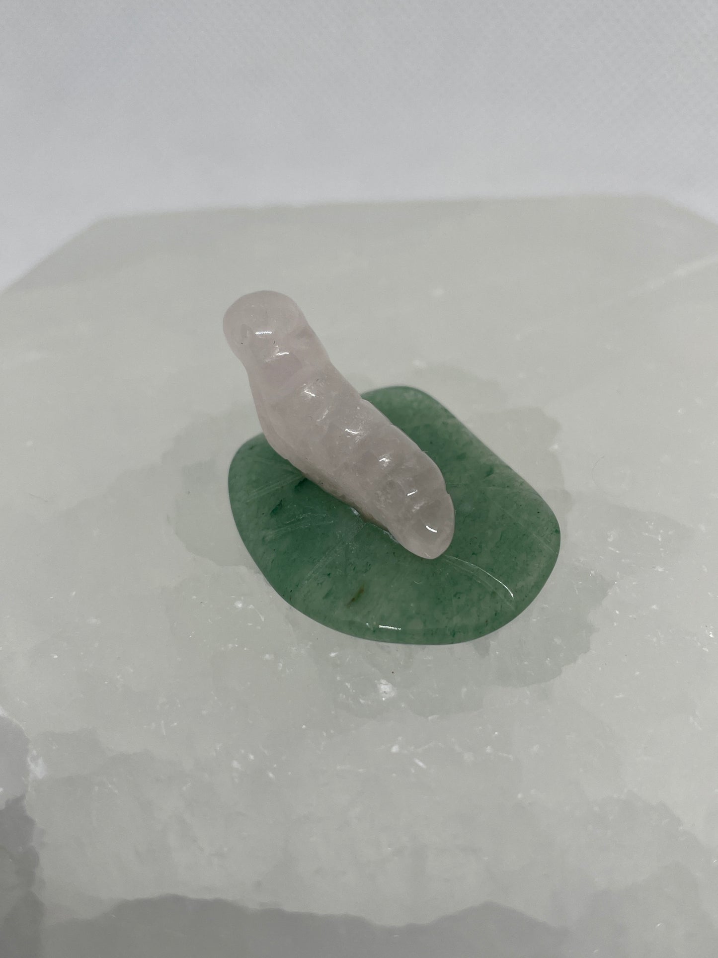Rose Quartz Caterpillar on Leaf Mini