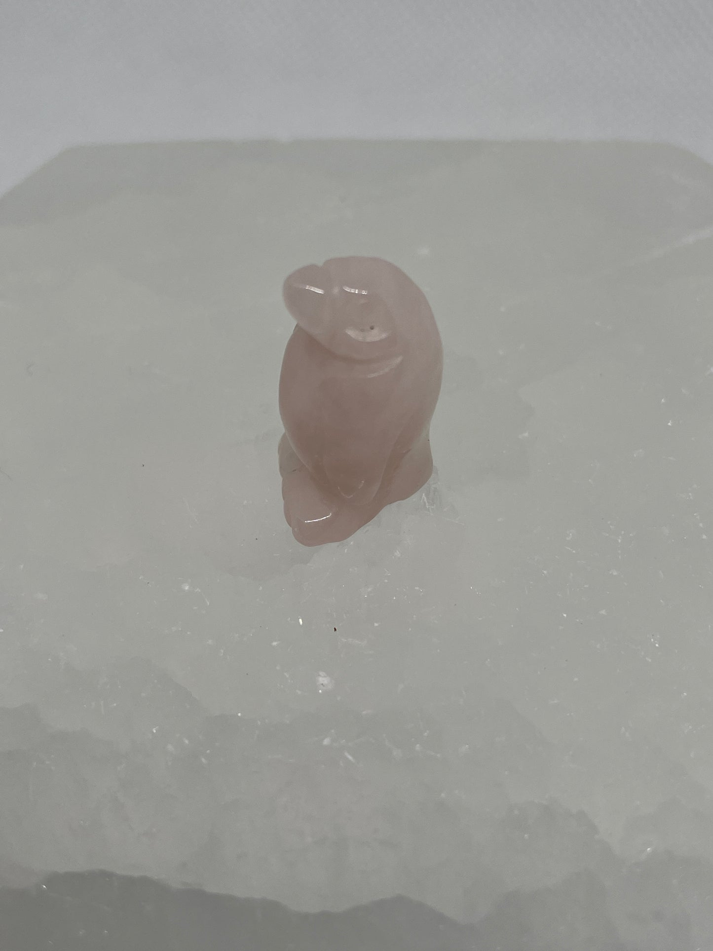 Rose Quartz Penguin Mini