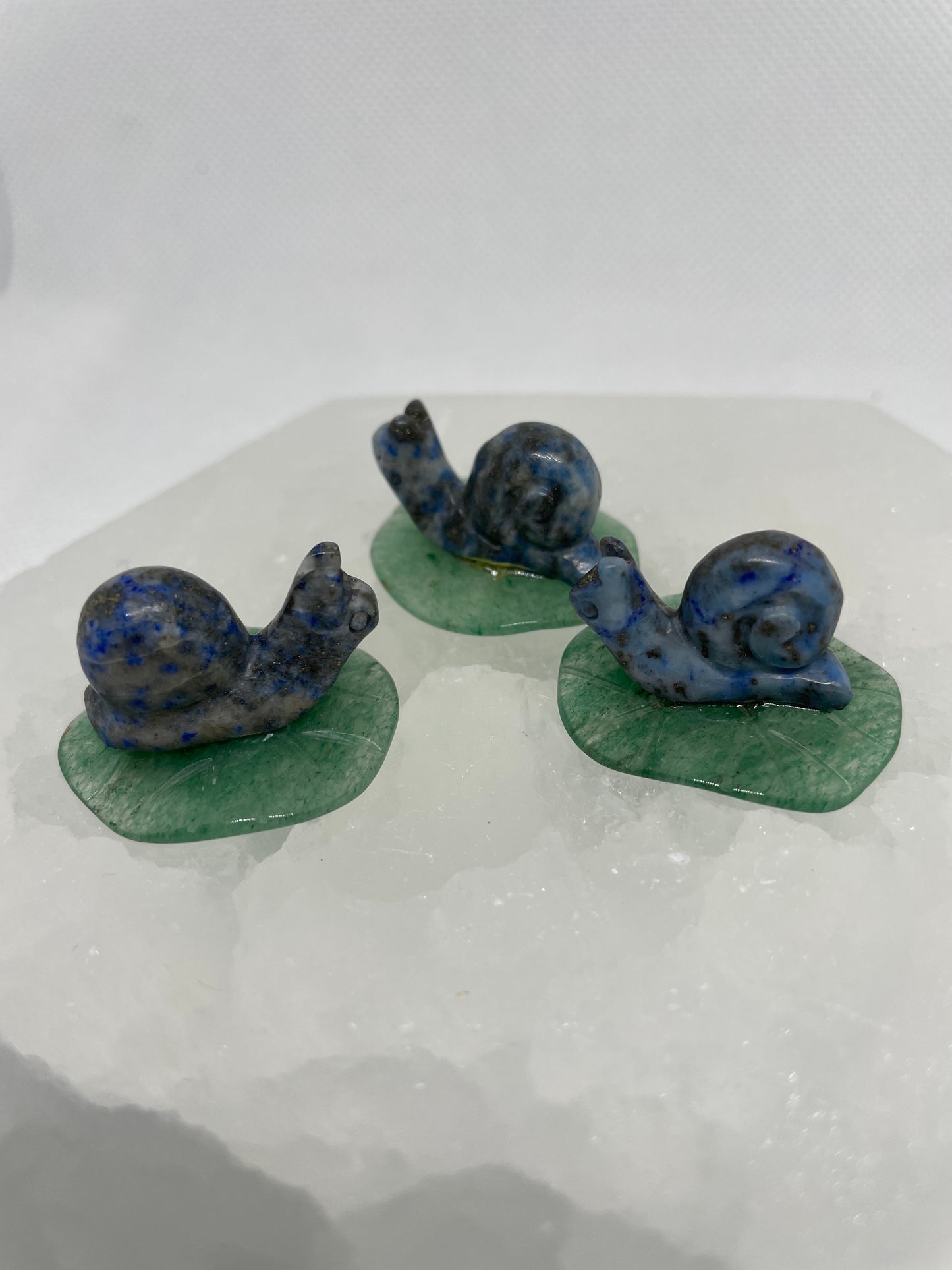 Blue Lapis Snail Mini