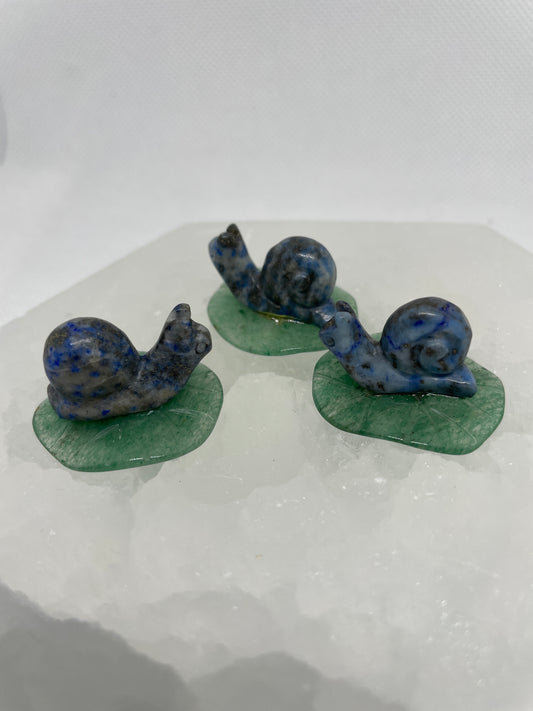 Blue Lapis Snail Mini