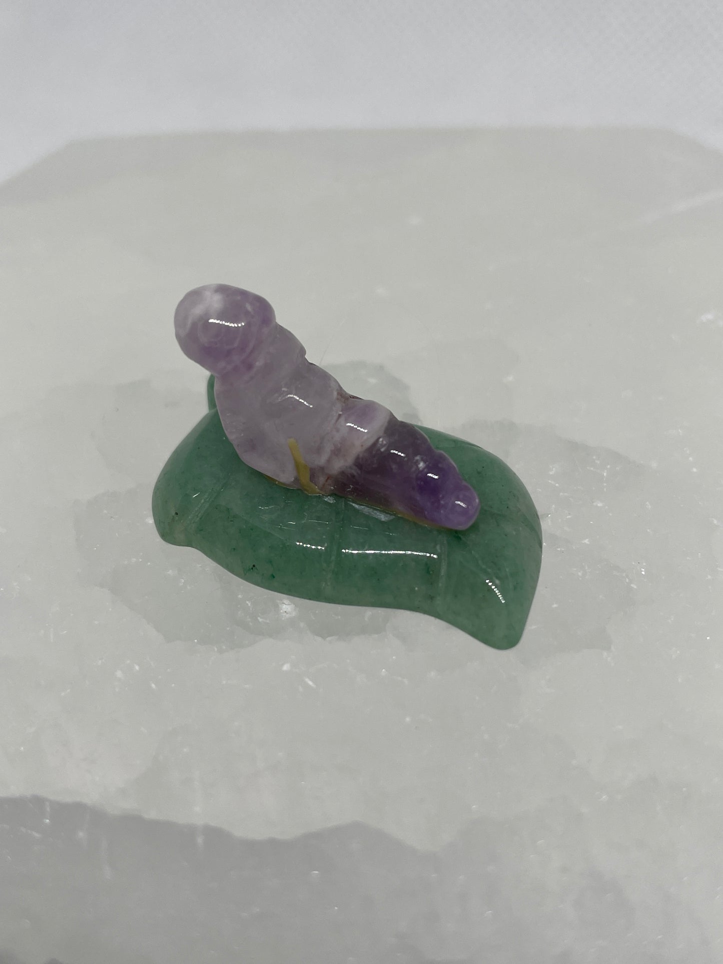 Dream amethyst Caterpillar on Leaf Mini