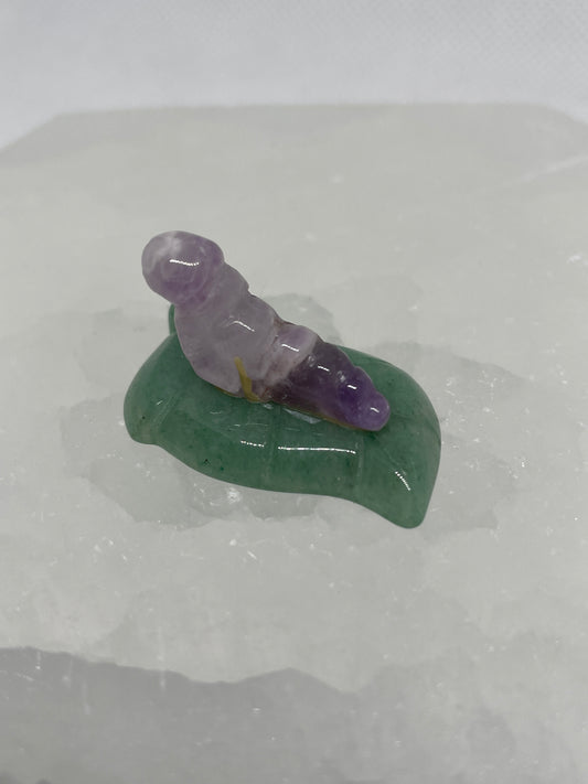 Dream amethyst Caterpillar on Leaf Mini