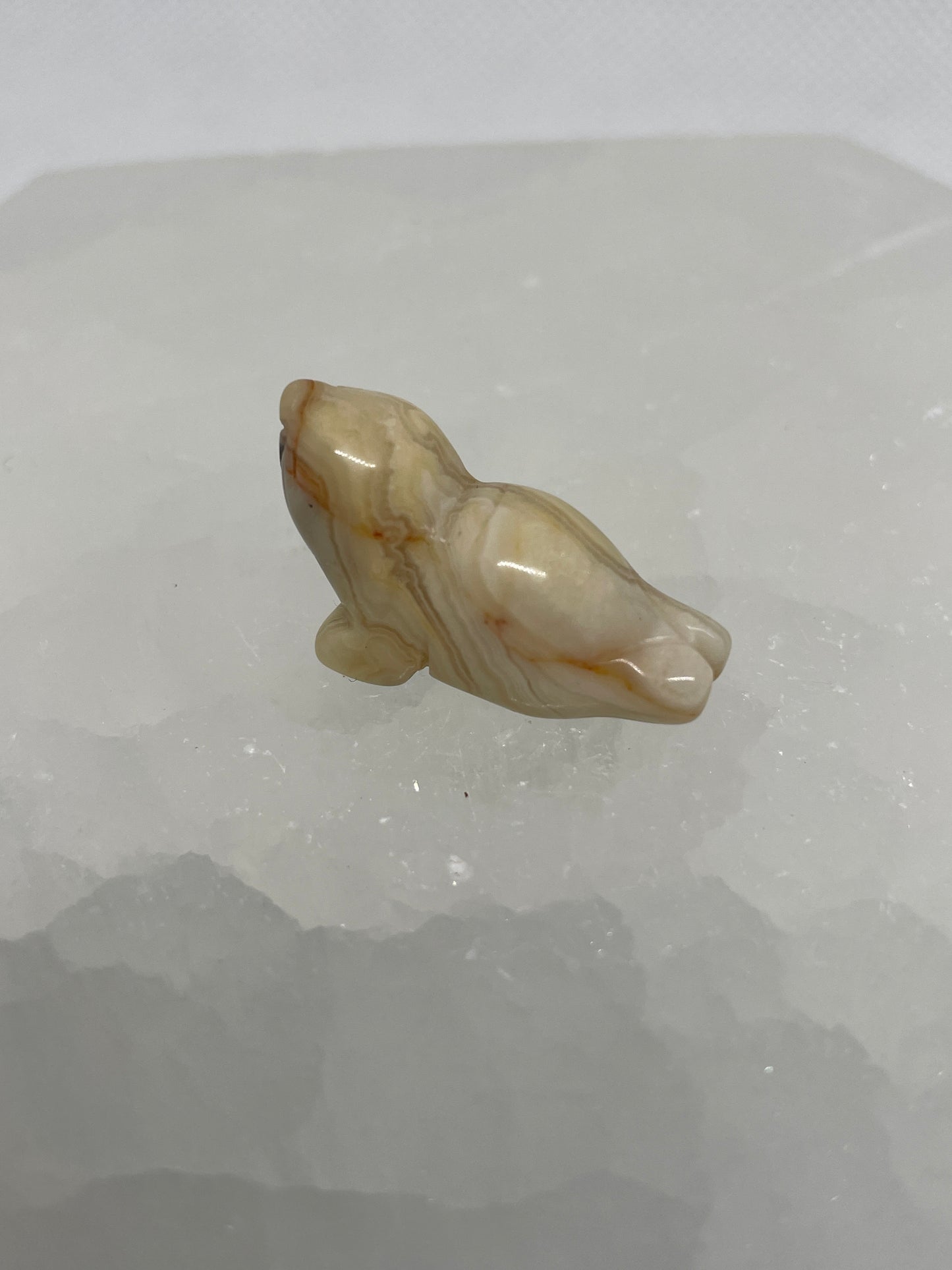 Crazy Lace Agate Sea Lion Mini
