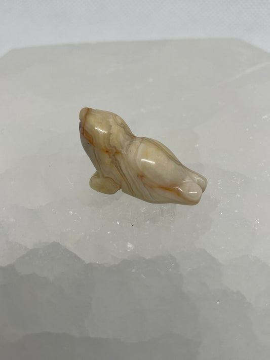 Crazy Lace Agate Sea Lion Mini