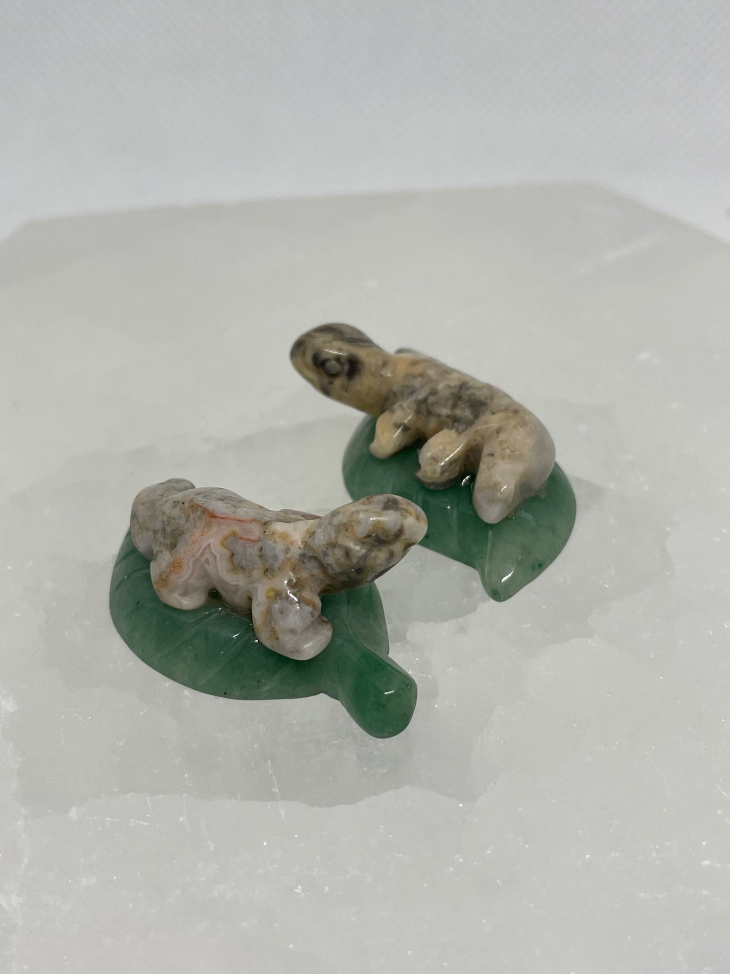 Crazy Lace Agate Lizard on Leaf Mini