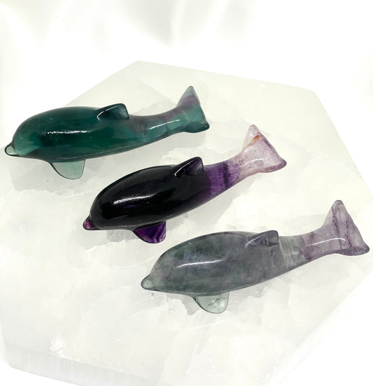 Fluorite Dolphins