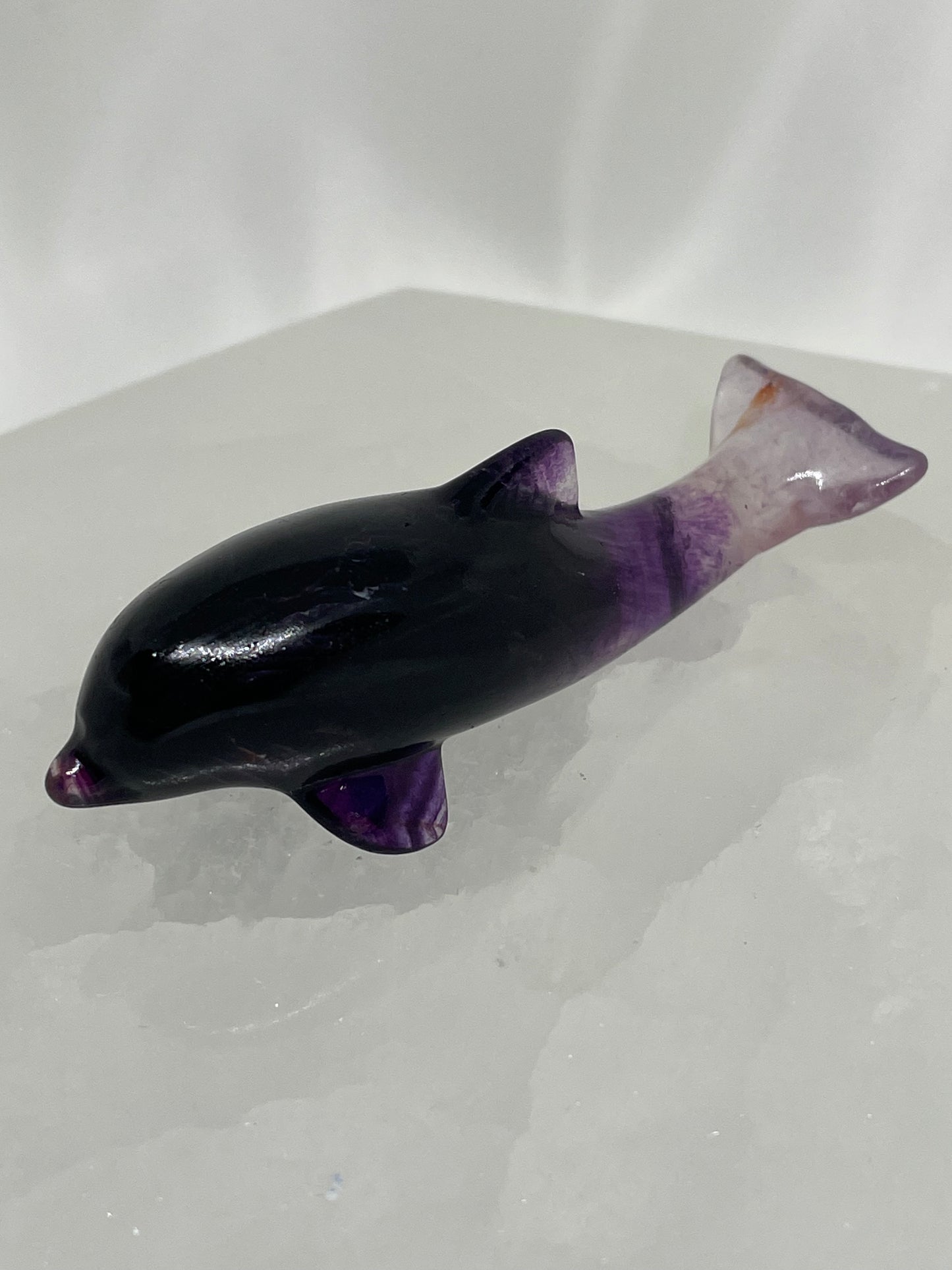 Fluorite Dolphins