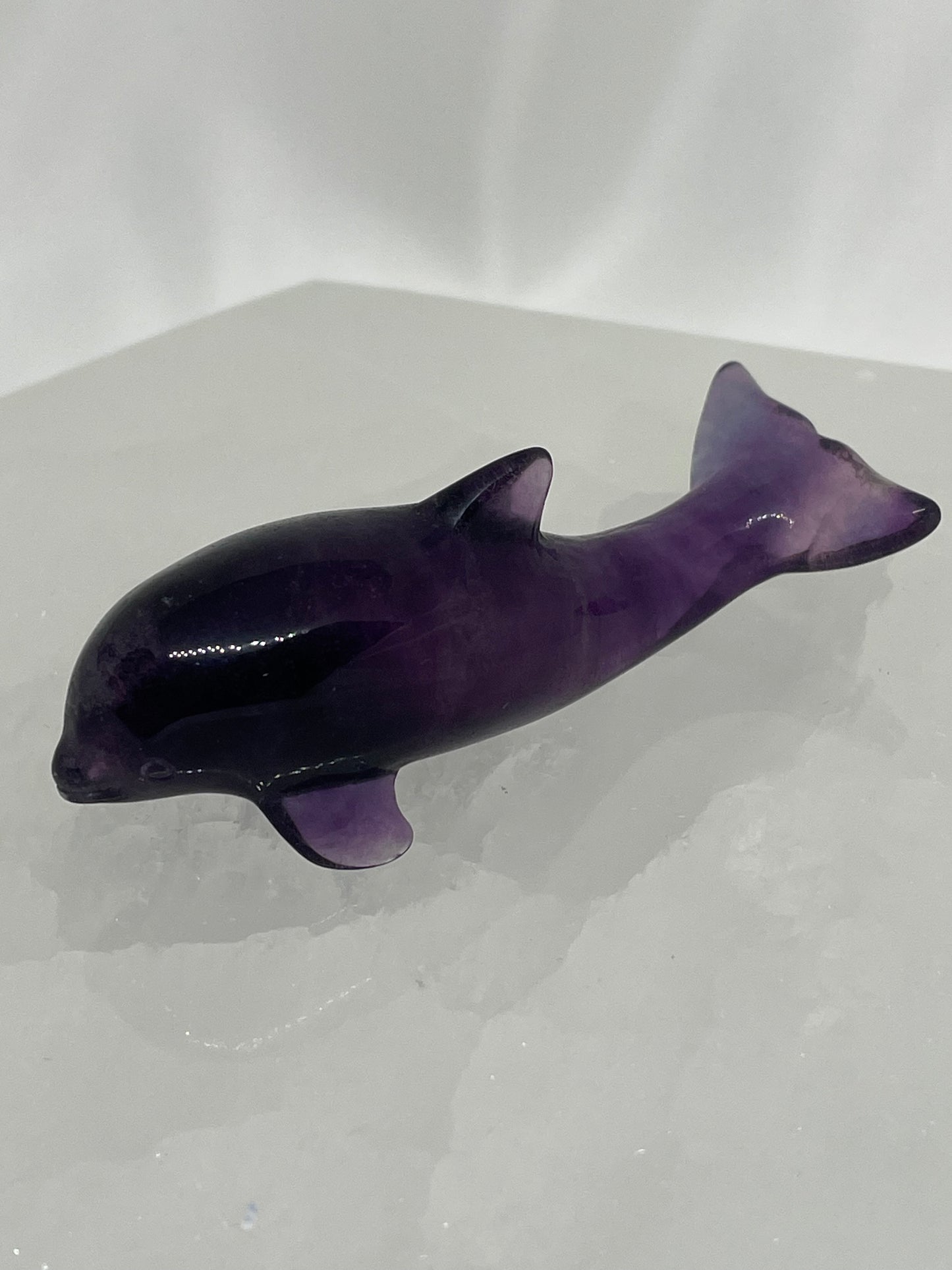 Fluorite Dolphins