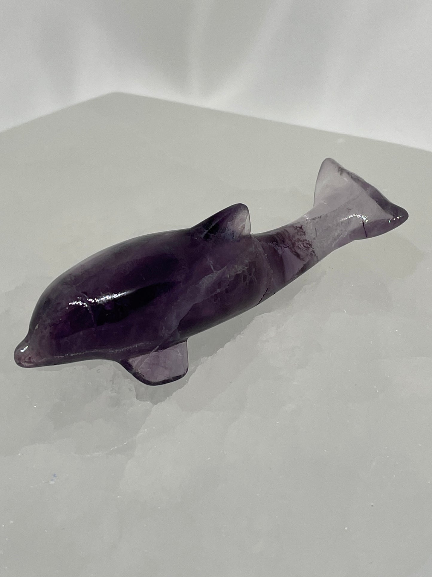 Fluorite Dolphins